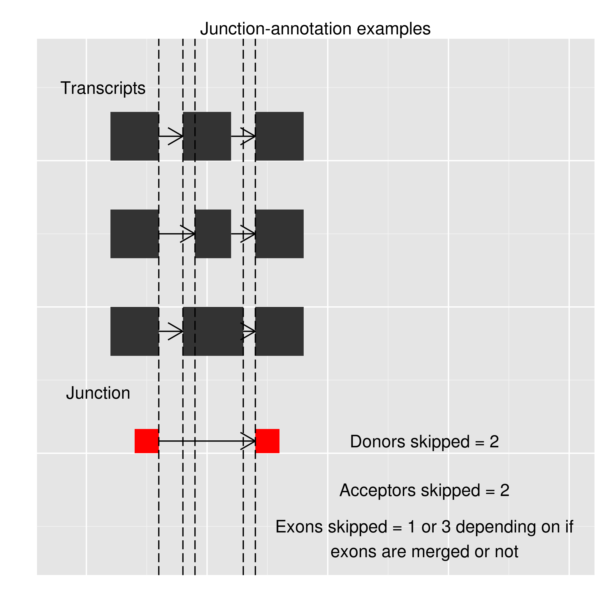 Junction-annotation example